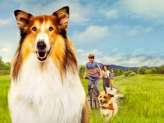 PRÁVĚ V KINĚ: Lassie: Nové dobrodružství